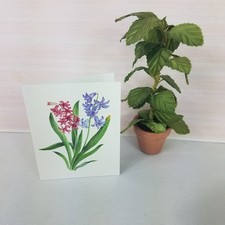 Lot 36 Miniature Note Cards Blank Inside No Envelopes Pink Blue Bluebells Mini