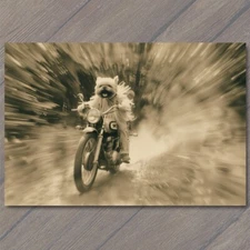 4x6"  Dog People Motorcycle Weird Creepy Vintage Vibe Unreal Unusual Strange
