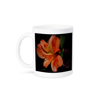 3dRose, Beauty of a Tiger Lily is a close up photo of an orange tiger lily, Mug