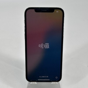 iPhone 12 Back Cracked | eBay