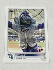 2022 Topps Opening Day Baseball Mascots #M-21 - Raymond - Tampa Bay Rays