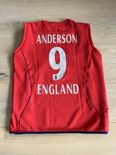 England Official 2013 Cricket ODI Sweater Match Worn - JAMES ANDERSON *Rare*