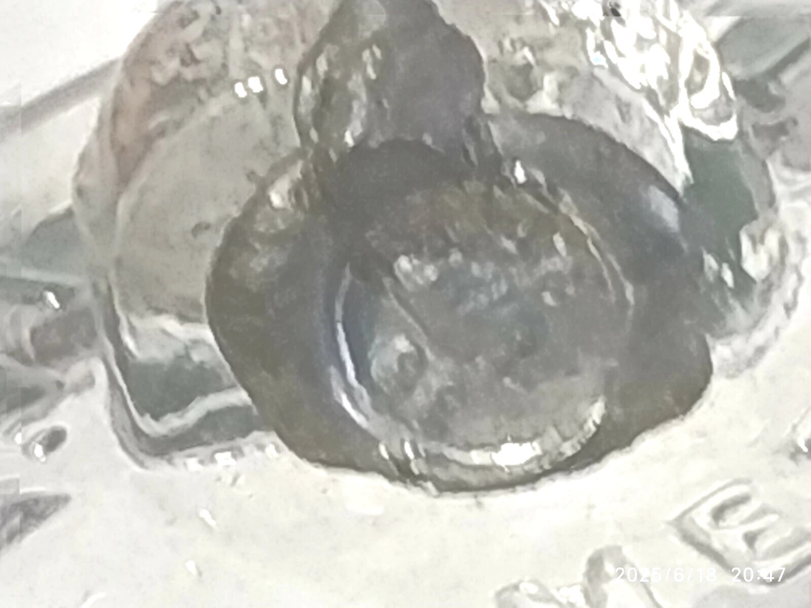 Foto 6 di 7