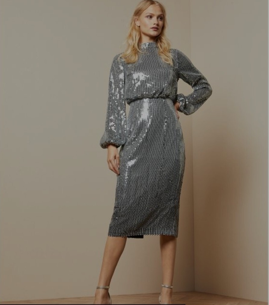 Christmas/ NewYears Winter Party Evening Occasion Sequin Dress