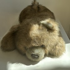 A A Teddy Bear Plush Stuffed Brown 30  