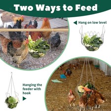 Hanging Chicken Feeder Basket with Chain Attracting Bird Chicken Food Dispenser