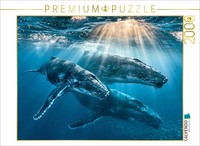 Calvendo Puzzle Giants Of The Seas | 2000 Pieces, Finished Size 35.4 × 26.4 In (