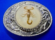 Genuine Real Scorpion Incased in Resin Round Western Style Belt Buckle