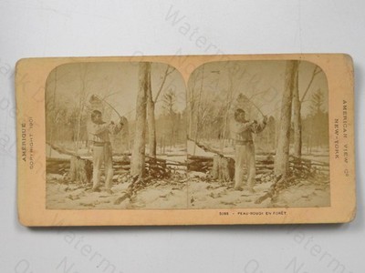 Native American Peau-Rouge En Forêt Snow Forest American View Co Stereoview 1901