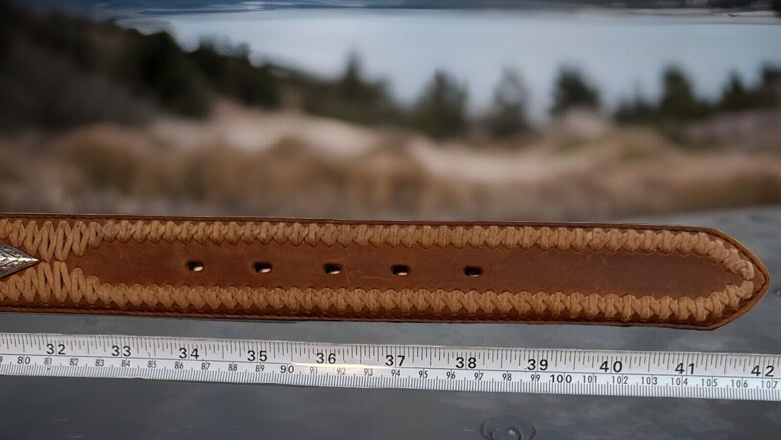 Picture 5 of 5