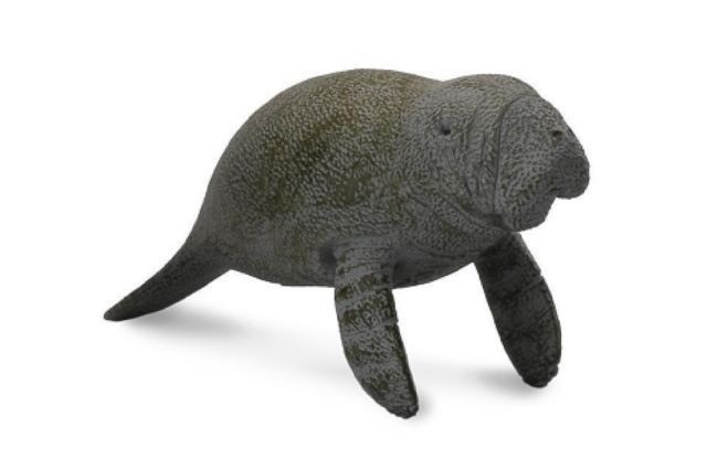 Collecta 88456 Swimming Manatee Calf 9 Cm Water Animals
