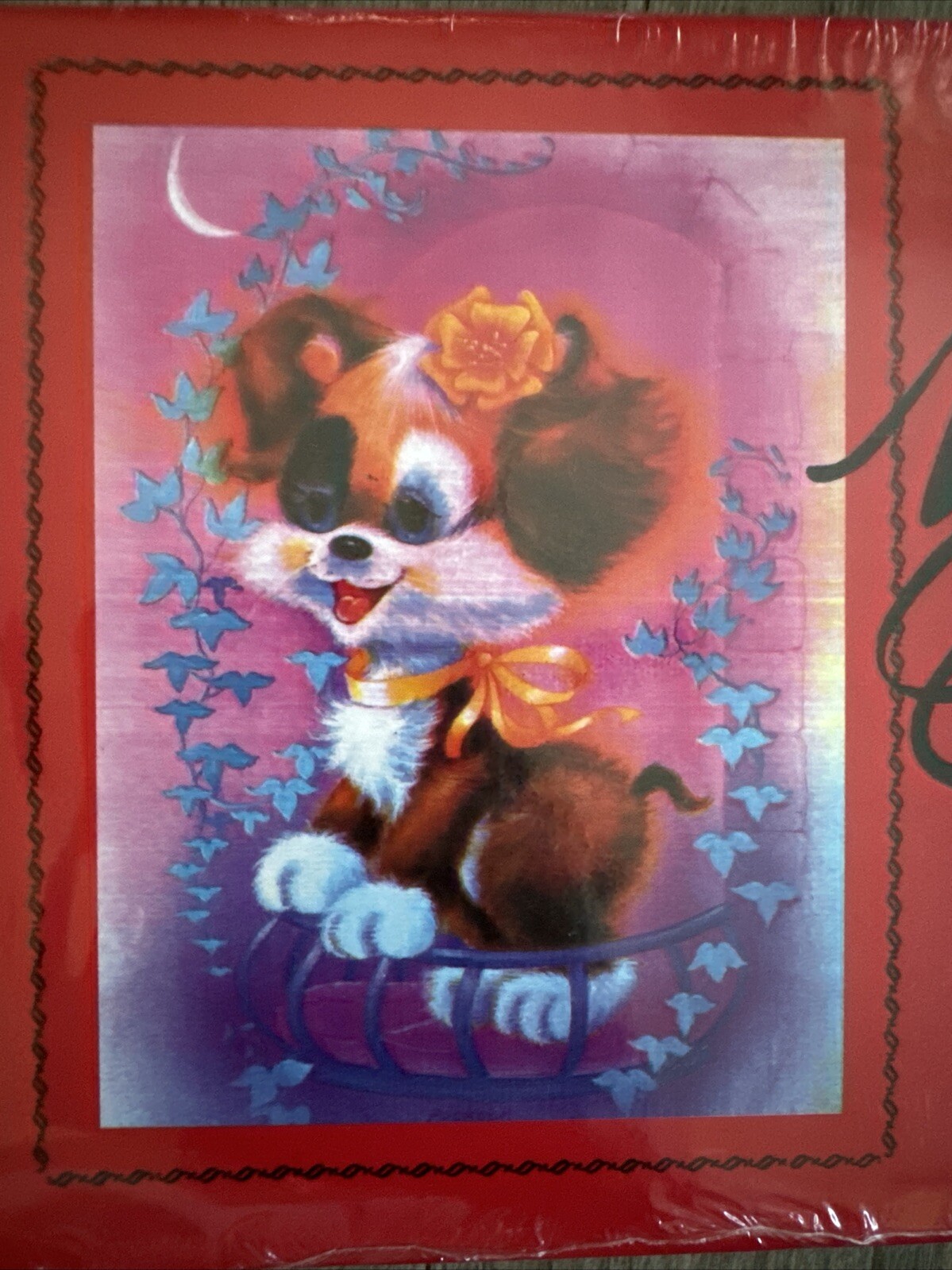 Foto 2 di 3