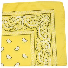 Pack of 84 Paisley 100 Polyester Bandanas - Wholesale Lot