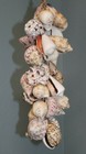 Bild 3 von 8