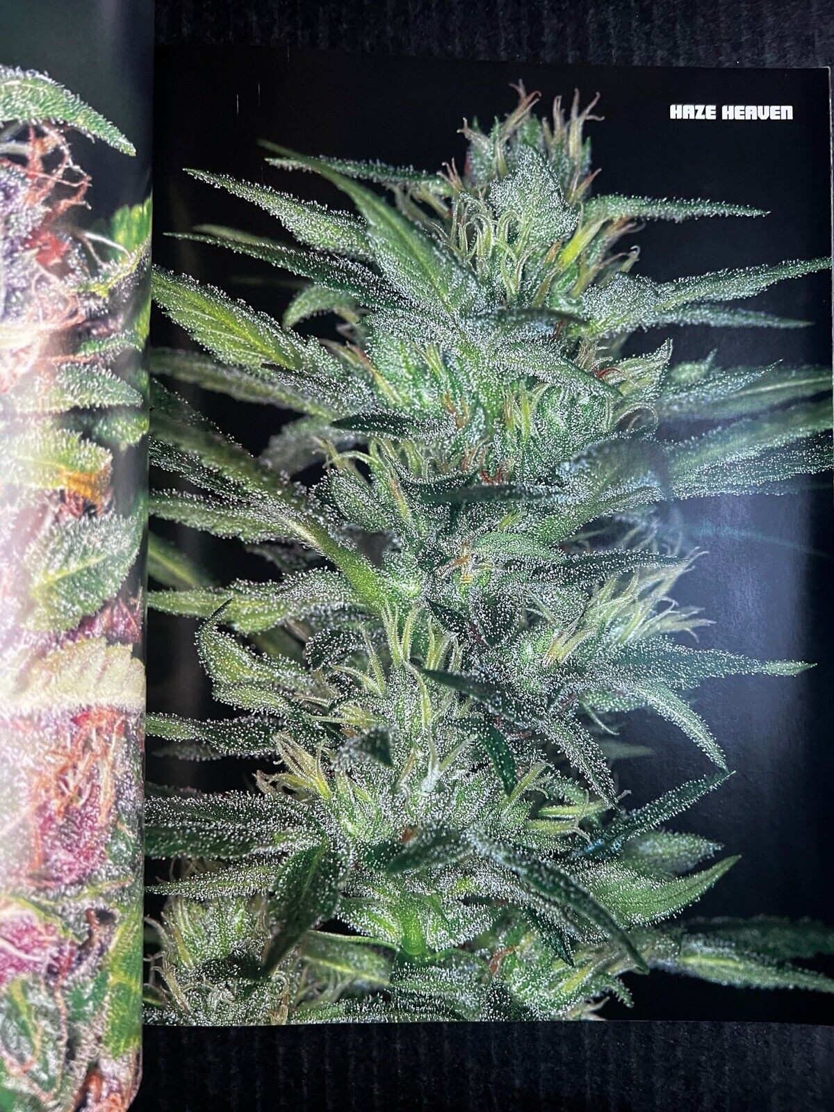 Foto 2 di 3