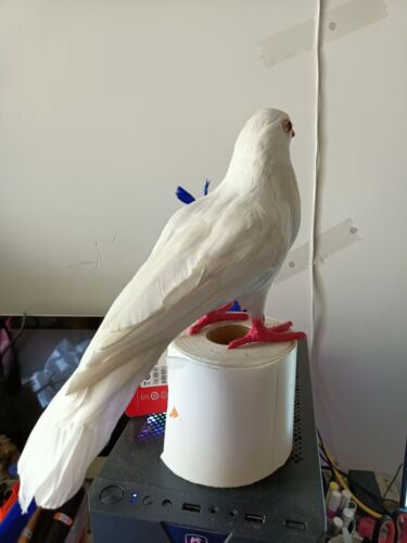 big simulation foam&feather white dove model garden decoration about 30cm - Afbeelding 4 van 4