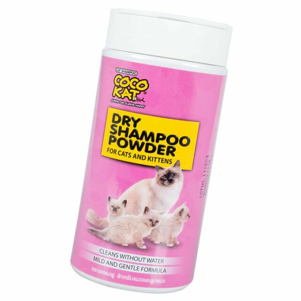 dry shampoo for kittens