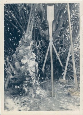 1937 EO Arnold Extra Large Date Offshoot Field Vintage Newspaper Press Photo