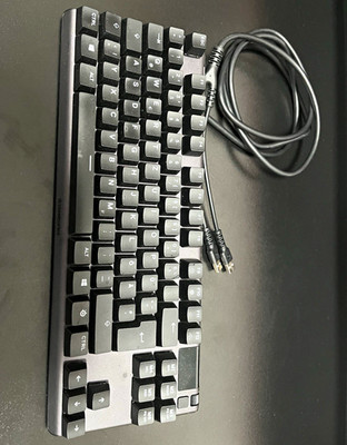 SteelSeries Apex Pro TKL QWERTZ DE RGB USB kabelgebunden mit Handballenauflage