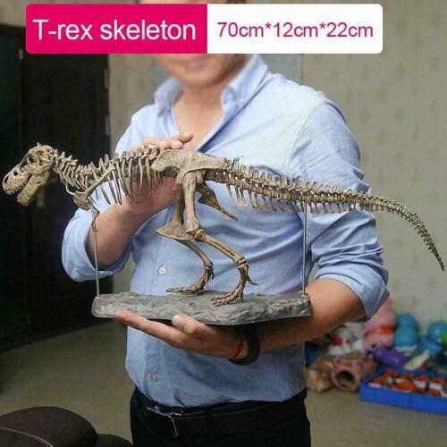 T Rex Tyrannosaurus Rex scheletro dinosauro animale da collezione decorazione modello gioco B7D3 - Foto 1 di 8
