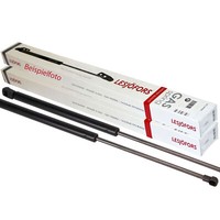 2X LesjÖFors 8166722 Gasfeder DäMpfer Heckklappe FüR Peugeot 206 206+