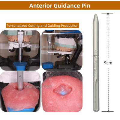 Dental Accessories Artex Anterior Guidance Pin Incisal Clean Amann Articulator
