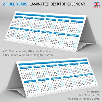 2025 Far Side Desk Calendar