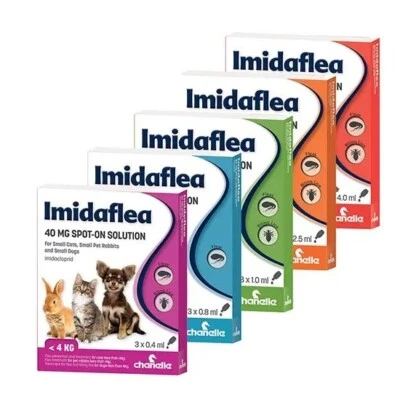 CHANELLE ImidaFlea Dog Cat Rabbit Spot On Flea & Lice Treatment Pipettes x 4 Weeks
