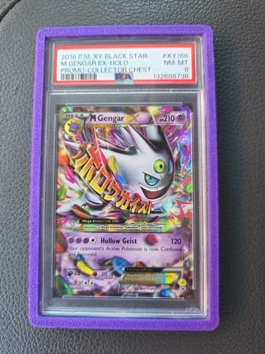 Pokemon M Gengar EX Collector Chest Black Star Holo Promo XY166 PSA 8