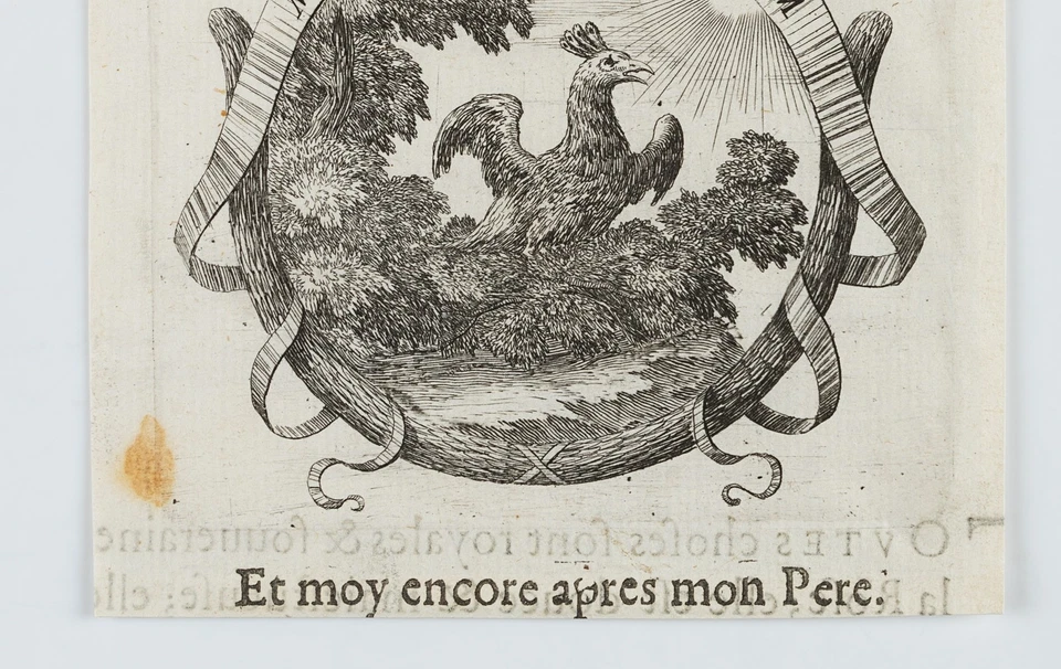 Pfau,  1649, Kupferstich Barock Tiere 1600-1649 Druckgraphik Unbekannt (17.Jhd) - Bild 4 von 4