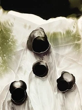 Tonito Original ACEO painting.Miniature fine art.Organic realism.NOMAD'S Life 4