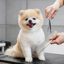 Professional Dog  Cat Hair Grooming Scissors Kit with Safety Round Tips  Comb
