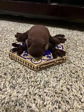 Harry Potter Honeydukes Chocolate Frog Collector Plush Pillow W/ Chocolate Frog