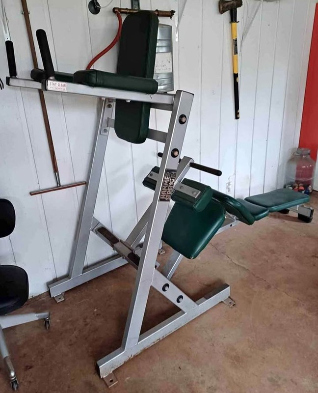 Hammer Strength Abdominal Work Station Leg Raise/Ab Bench