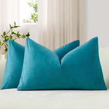 DEZENE Lumbar Pillow Covers 12X20 Turquoise: Pack of 2 Cozy Soft Velvet Rectangu