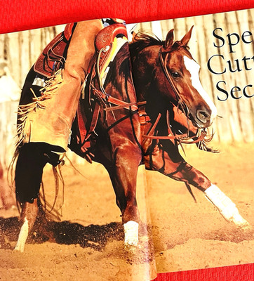 2005 Quarter Horse Journal book, CUTTING HORSE EDITION! - WR LENA - HOLIDOC