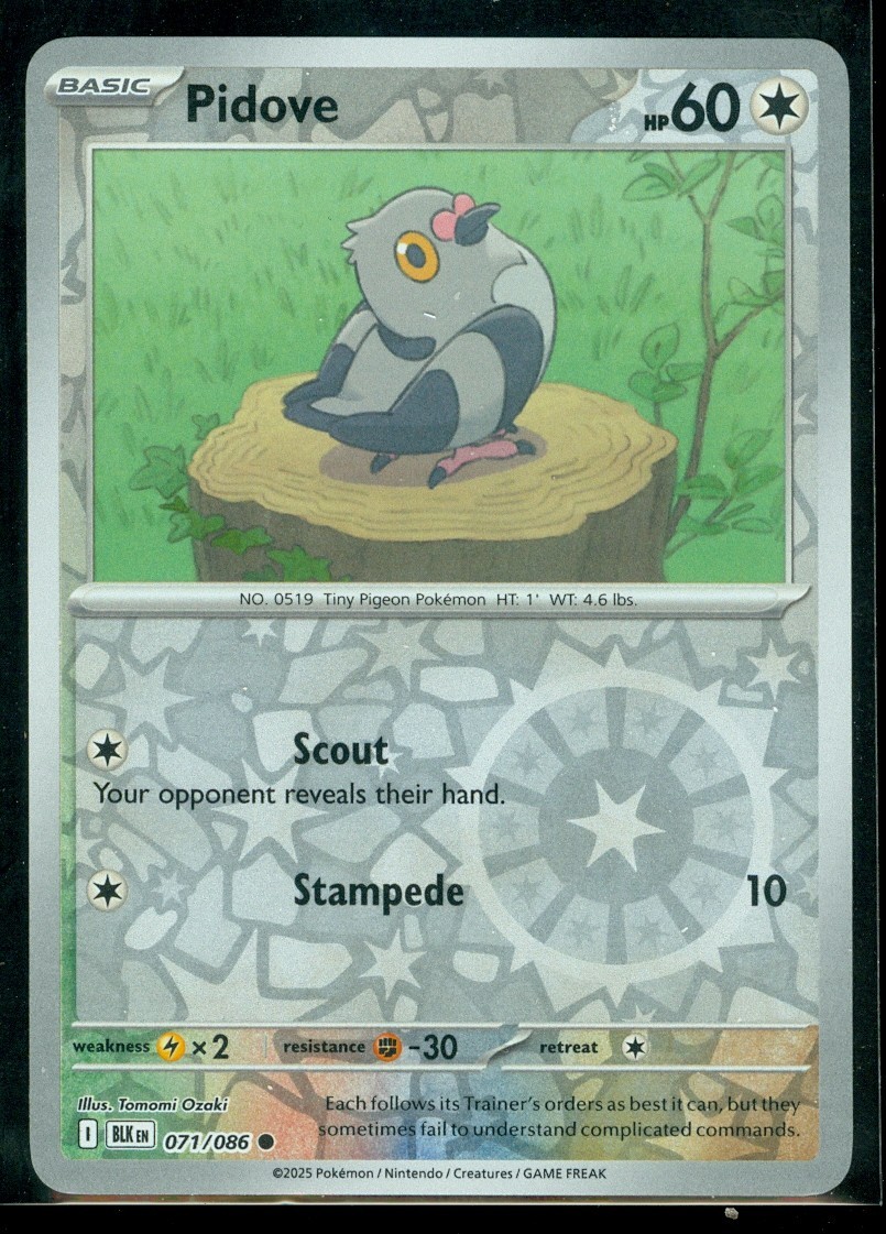 Pokemon PIDOVE 071/086 - Black Bolt - Rev Holo - MINT