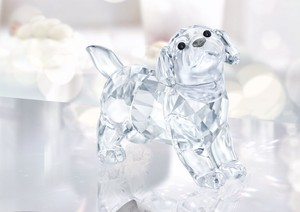 dog swarovski