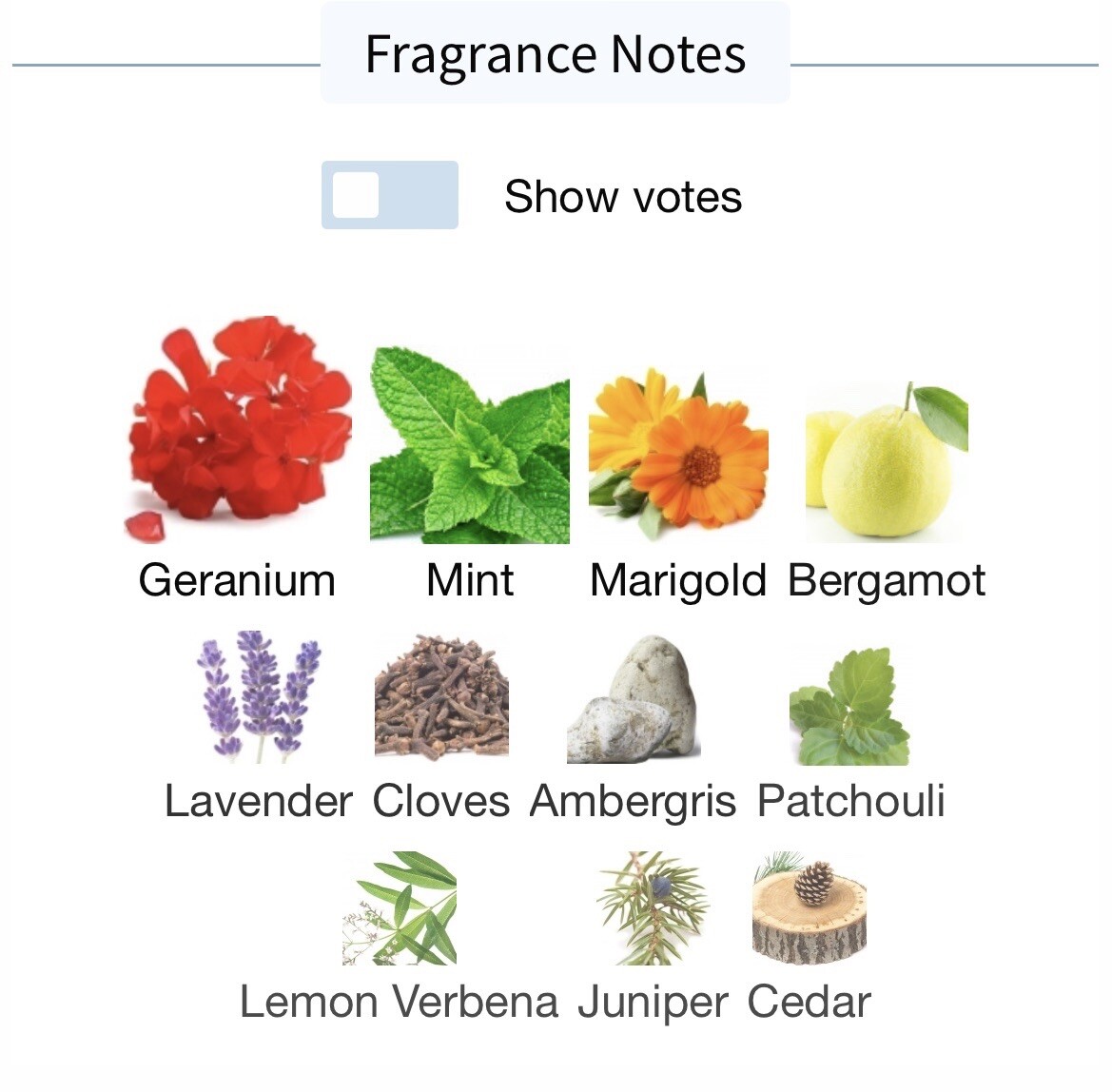 Anne Klein 'blazer' Eau De Cologne 4oz/120ml Spray for sale online eBay