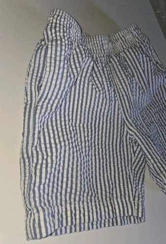 JCREW CREWCUTS blue Seersucker Striped Poly Cotton Swim Trunks. Youth 8 - Picture 2 of 5