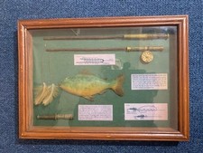 Framed Fish and Flies wall art