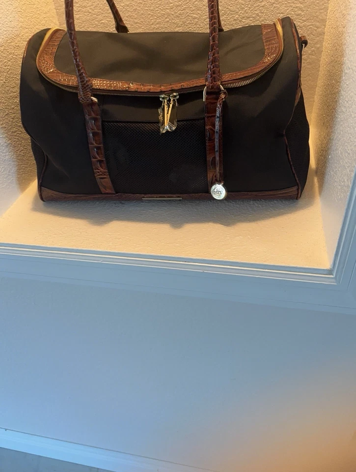 Brahim狗背带Pecan Melborne — 第 3/4 张图片