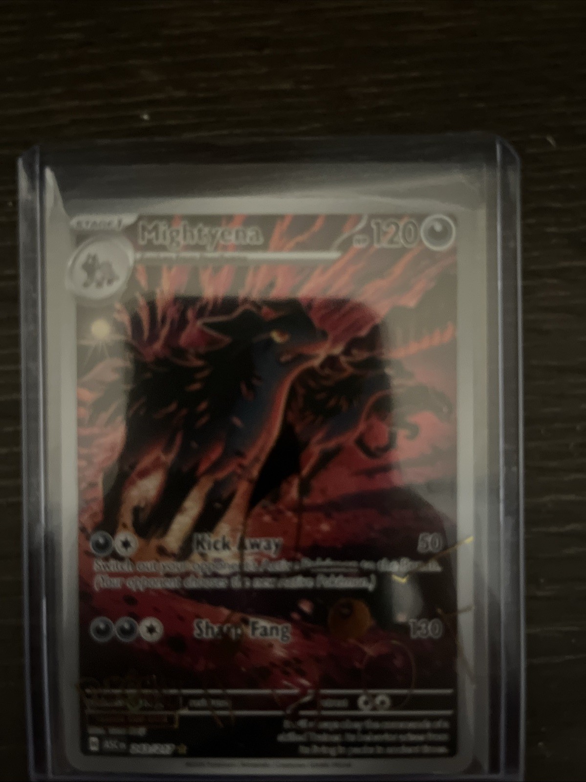 Mightyena Holofoil Illustration Rare ME: Ascended Heroes 243/217 NM PACK FRESH
