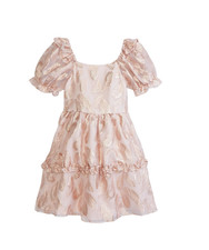 NWT Rare Editions Girls 5 Burnout Organza Dress Short Sleeve Feather Imprint