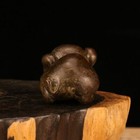 Foto 7 di 9