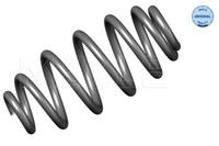 Meyle 100 739 0009 Fahrwerksfeder For Audi