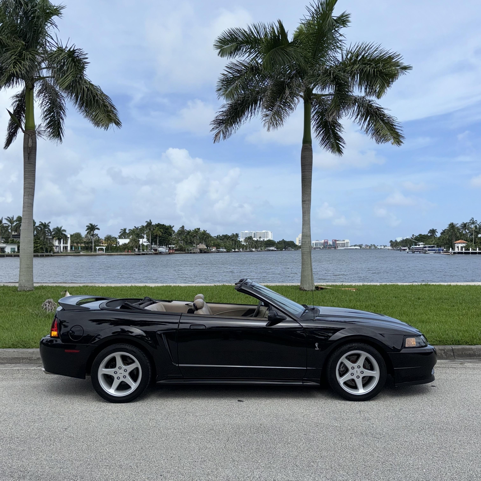 1999 Ford Mustang for sale in Hollywood Florida