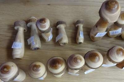 Pilz aus Holz mittelgroß teils mit Rinde 4 und 13 cm Kappe 4 - 10 cm 204 - 300