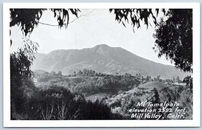 Postcard Mt Tamalpais Elevation 2592 Feet Mill Valley CA D115