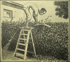 LE JARDINIER ZOULOU gravure illustration de l'apartheid racisme Afrique du Sud